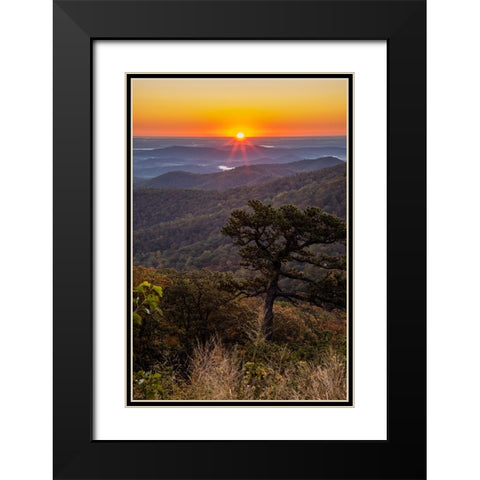 USA-Virginia-Shenandoah National Park-Sunrise along Skyline Drive in the Fall Black Modern Wood Framed Art Print with Double Matting by Looney, Hollice