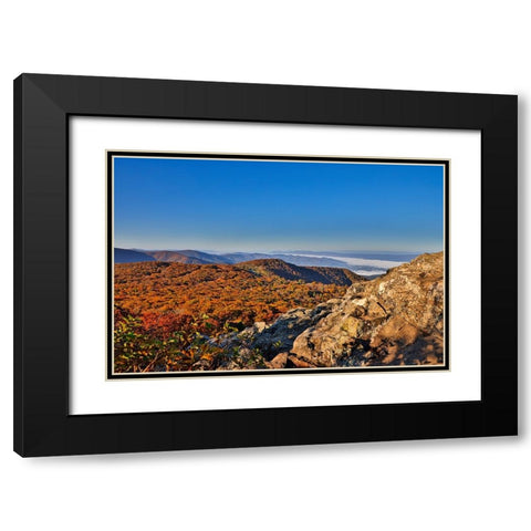 USA-Virginia-Shenandoah National Park-fall color in the park Black Modern Wood Framed Art Print with Double Matting by Looney, Hollice