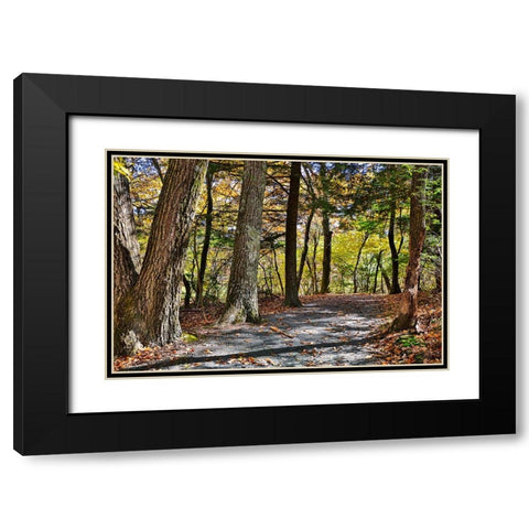 USA-Virginia-Shenandoah National Park-fall color in the park Black Modern Wood Framed Art Print with Double Matting by Looney, Hollice