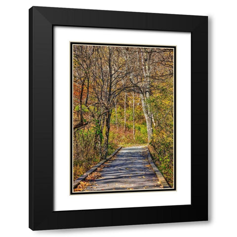 USA-Virginia-Shenandoah National Park-fall color in the park Black Modern Wood Framed Art Print with Double Matting by Looney, Hollice