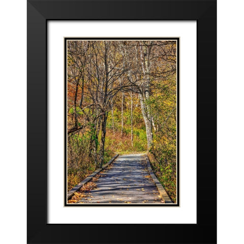 USA-Virginia-Shenandoah National Park-fall color in the park Black Modern Wood Framed Art Print with Double Matting by Looney, Hollice