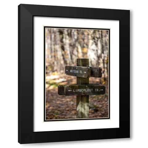 USA-Virginia-Shenandoah National Park-Wooden trail marker for the White Oak Trail and Limberlost Tr Black Modern Wood Framed Art Print with Double Matting by Looney, Hollice