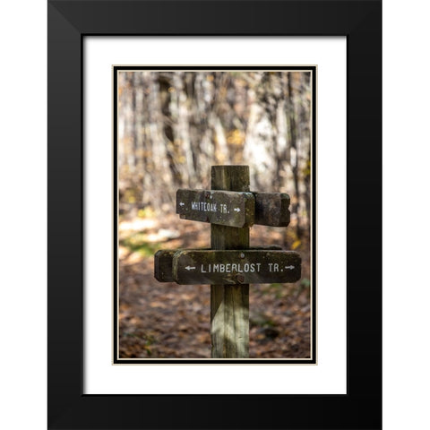 USA-Virginia-Shenandoah National Park-Wooden trail marker for the White Oak Trail and Limberlost Tr Black Modern Wood Framed Art Print with Double Matting by Looney, Hollice