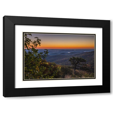 USA-Virginia-Shenandoah National Park-Sunrise along Skyline Drive in the Fall Black Modern Wood Framed Art Print with Double Matting by Looney, Hollice