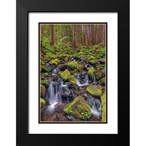 Small stream cascading through moss covered rocks-Hoh Rainforest-Olympic National Park Black Modern Wood Framed Art Print with Double Matting by Jones, Adam