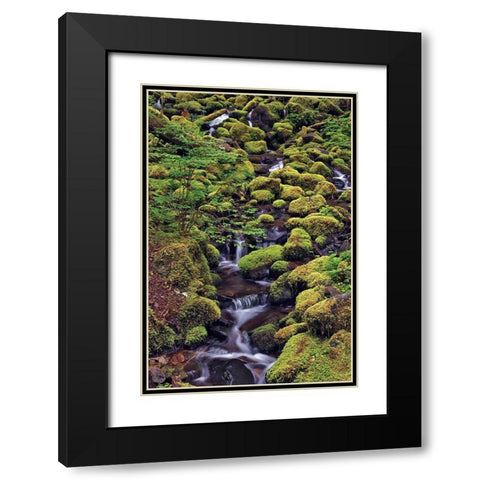 Small stream cascading through moss covered rocks-Hoh Rainforest-Olympic National Park Black Modern Wood Framed Art Print with Double Matting by Jones, Adam