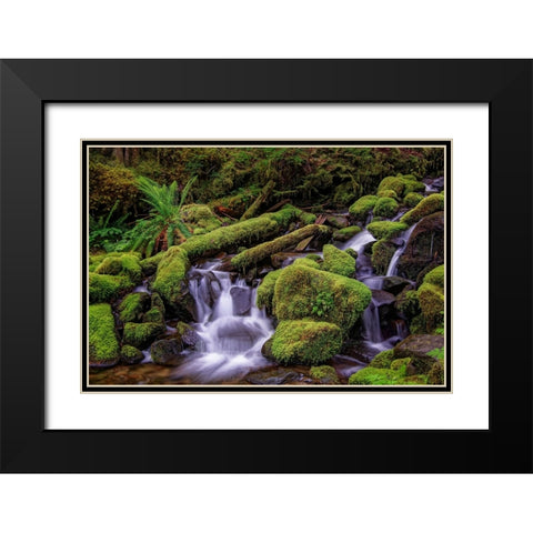 Small stream cascading through moss covered rocks-Hoh Rainforest-Olympic National Park Black Modern Wood Framed Art Print with Double Matting by Jones, Adam