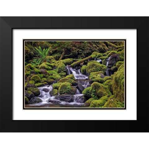 Small stream cascading through moss covered rocks-Hoh Rainforest-Olympic National Park Black Modern Wood Framed Art Print with Double Matting by Jones, Adam
