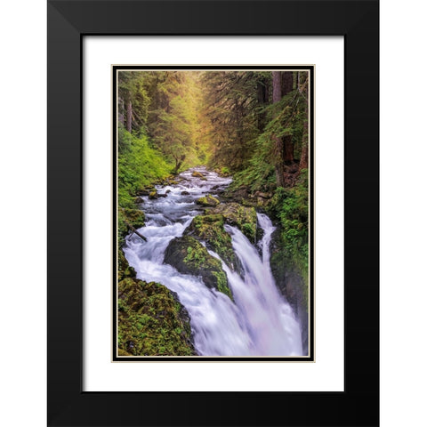 Sol Duc River and Falls-Olympic National Park-Washington State Black Modern Wood Framed Art Print with Double Matting by Jones, Adam