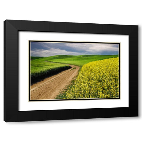 Rural farm road through yellow canola and green wheat crops Black Modern Wood Framed Art Print with Double Matting by Jones, Adam