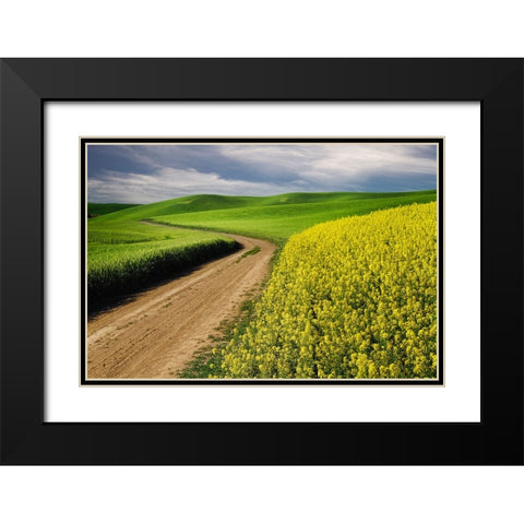 Rural farm road through yellow canola and green wheat crops Black Modern Wood Framed Art Print with Double Matting by Jones, Adam