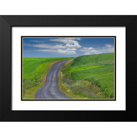 Rural road through rolling wheat fields-Palouse region of eastern Washington State Black Modern Wood Framed Art Print with Double Matting by Jones, Adam