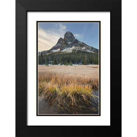 Liberty Bell Mountain and meadows of Washington State Pass North Cascades-Washington State Black Modern Wood Framed Art Print with Double Matting by Majchrowicz, Alan