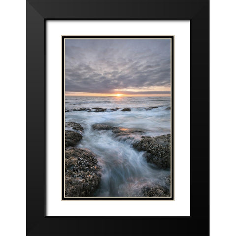 Kalaloch Beach 4 at sunset-Olympic National Park-Washington State Black Modern Wood Framed Art Print with Double Matting by Majchrowicz, Alan