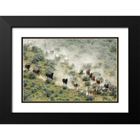 WA, Malaga, Horses form V shape during roundup Black Modern Wood Framed Art Print with Double Matting by Kirkland, Dennis