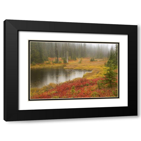 WA, Mount Rainier NP Fall-colored meadow Black Modern Wood Framed Art Print with Double Matting by Paulson, Don