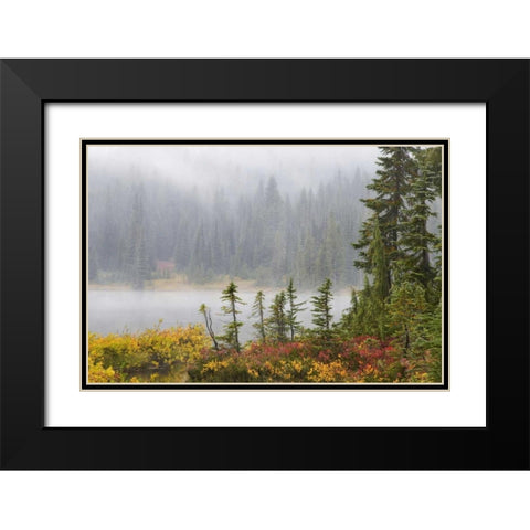 WA, Mount Rainier NP Trees and lake in mist Black Modern Wood Framed Art Print with Double Matting by Paulson, Don