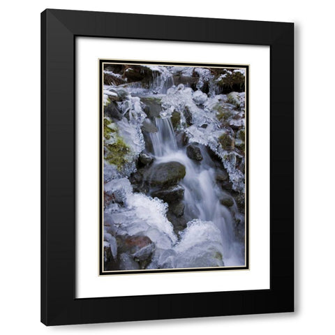 Washington, Olympic NP Icy winter waterfall Black Modern Wood Framed Art Print with Double Matting by Paulson, Don