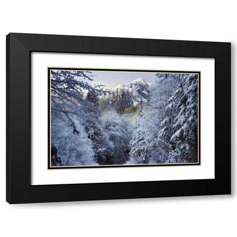 WA, Olympic NP Winter Hamma Hamma River Valley Black Modern Wood Framed Art Print with Double Matting by Paulson, Don