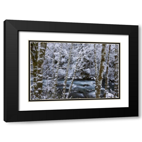 USA, WA, Olympic NP Winter Hamma Hamma River Black Modern Wood Framed Art Print with Double Matting by Paulson, Don