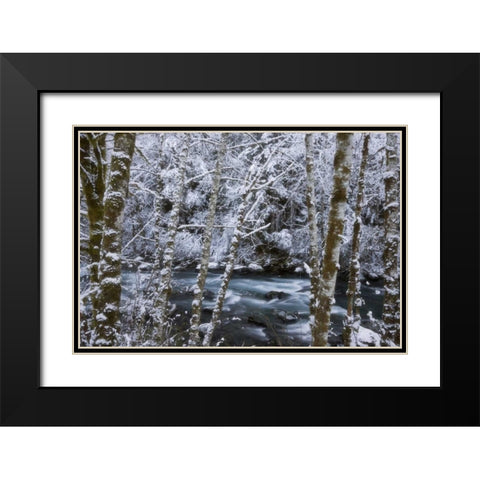 USA, WA, Olympic NP Winter Hamma Hamma River Black Modern Wood Framed Art Print with Double Matting by Paulson, Don