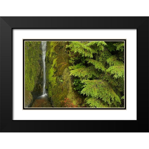 WA, Mt Baker Wilderness, Small waterfall Black Modern Wood Framed Art Print with Double Matting by Paulson, Don