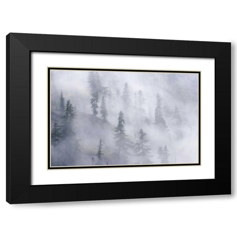 WA, Mount Baker Dense fog blankets mountainside Black Modern Wood Framed Art Print with Double Matting by Paulson, Don