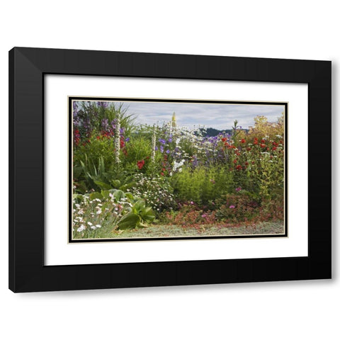 WA, Poulsbo Perennial garden with flower Black Modern Wood Framed Art Print with Double Matting by Paulson, Don