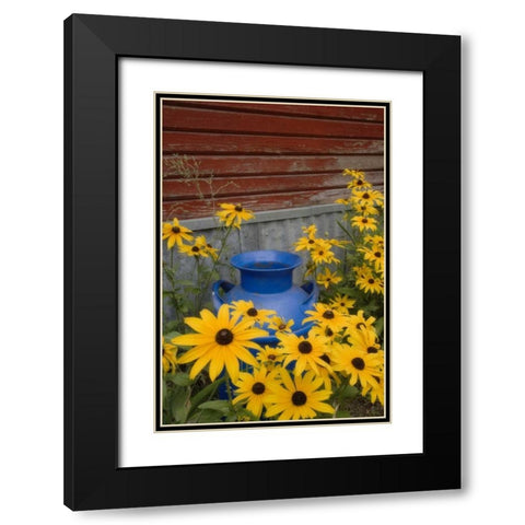 WA, Blue milk can sits amid garden flowers Black Modern Wood Framed Art Print with Double Matting by Paulson, Don