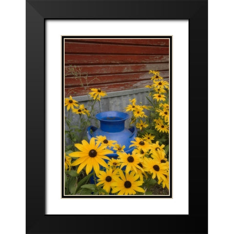 WA, Blue milk can sits amid garden flowers Black Modern Wood Framed Art Print with Double Matting by Paulson, Don