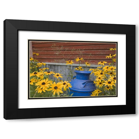 WA, Blue milk can sits amid garden flowers Black Modern Wood Framed Art Print with Double Matting by Paulson, Don