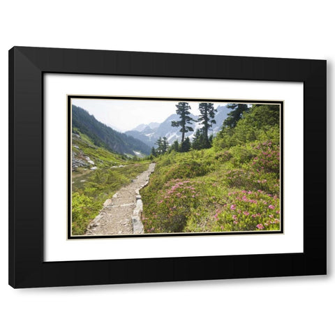 WA, Cascade Pass Hiking trail amid wilderness Black Modern Wood Framed Art Print with Double Matting by Paulson, Don