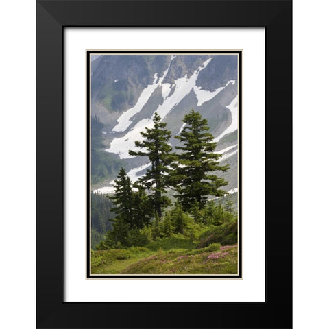 WA, North Cascades NP Mountain hemlock trees Black Modern Wood Framed Art Print with Double Matting by Paulson, Don