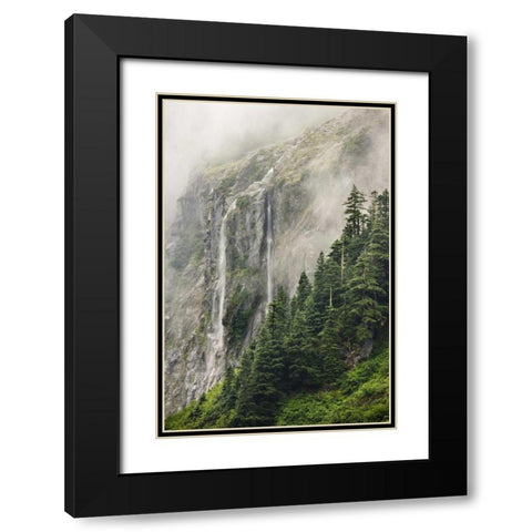 WA, North Cascades NP, Waterfall and fog Black Modern Wood Framed Art Print with Double Matting by Paulson, Don