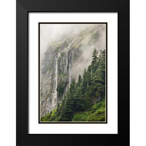 WA, North Cascades NP, Waterfall and fog Black Modern Wood Framed Art Print with Double Matting by Paulson, Don
