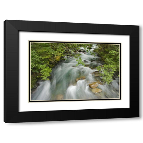 WA, North Cascades Water rushes in Cascade River Black Modern Wood Framed Art Print with Double Matting by Paulson, Don