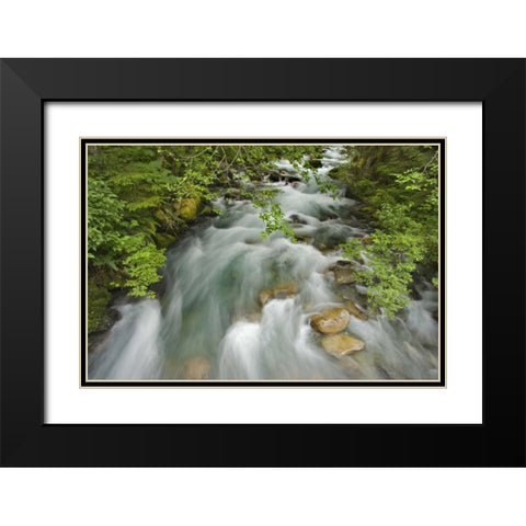 WA, North Cascades Water rushes in Cascade River Black Modern Wood Framed Art Print with Double Matting by Paulson, Don