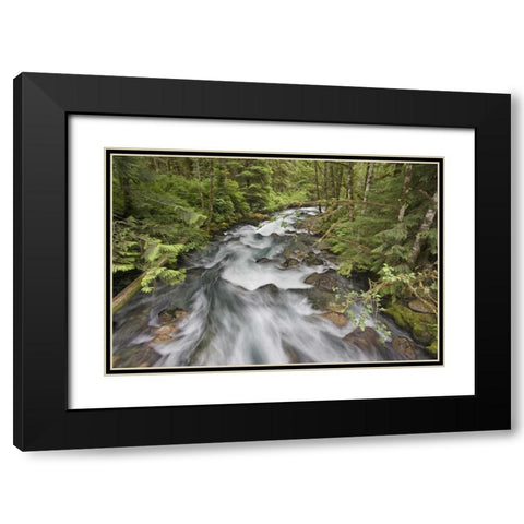 WA, North Cascades Water rushes in Cascade River Black Modern Wood Framed Art Print with Double Matting by Paulson, Don