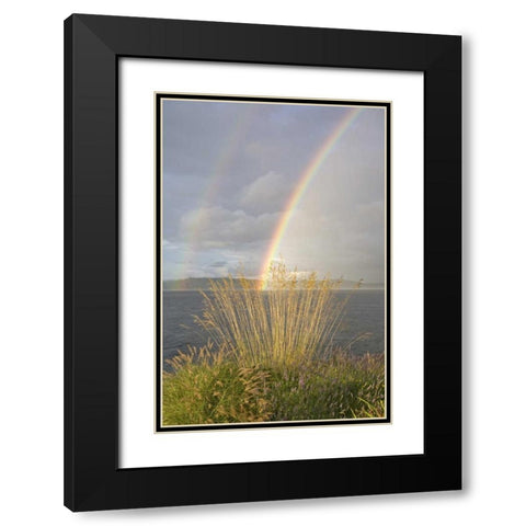 WA, Seabeck Double rainbow over the Hood Canal Black Modern Wood Framed Art Print with Double Matting by Paulson, Don