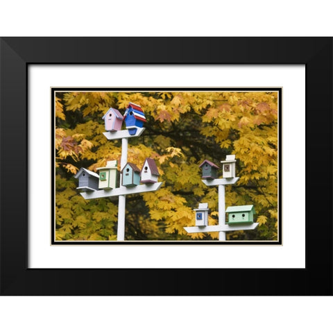WA, Battle Ground Lake SP Variety of birdhouses Black Modern Wood Framed Art Print with Double Matting by Paulson, Don