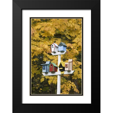 WA, Battle Ground Lake SP Variety of birdhouses Black Modern Wood Framed Art Print with Double Matting by Paulson, Don