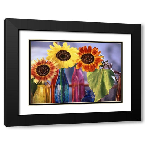 USA, Washington, Bellingham Black Modern Wood Framed Art Print with Double Matting by Satushek, Steve