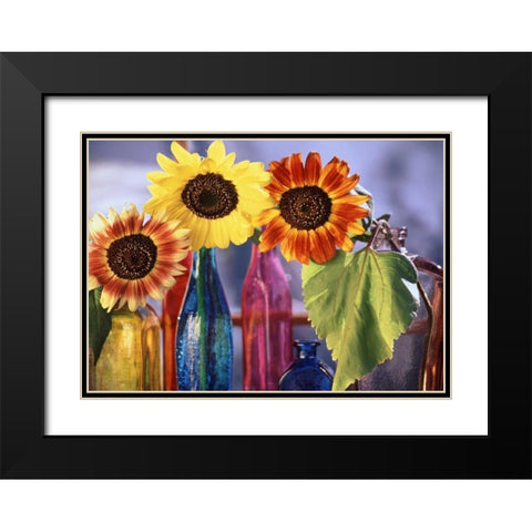 USA, Washington, Bellingham Black Modern Wood Framed Art Print with Double Matting by Satushek, Steve