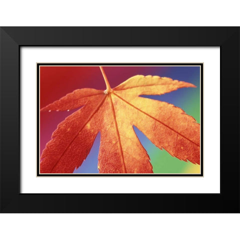 USA, Washington, Bellingham Black Modern Wood Framed Art Print with Double Matting by Satushek, Steve