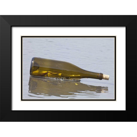 WA, Olympic NP Message in a bottle on shore Black Modern Wood Framed Art Print with Double Matting by Paulson, Don