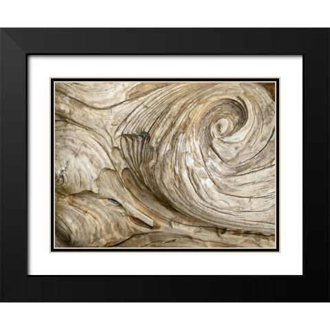 USA, Washington Close-up of swirled wood grain Black Modern Wood Framed Art Print with Double Matting by Paulson, Don