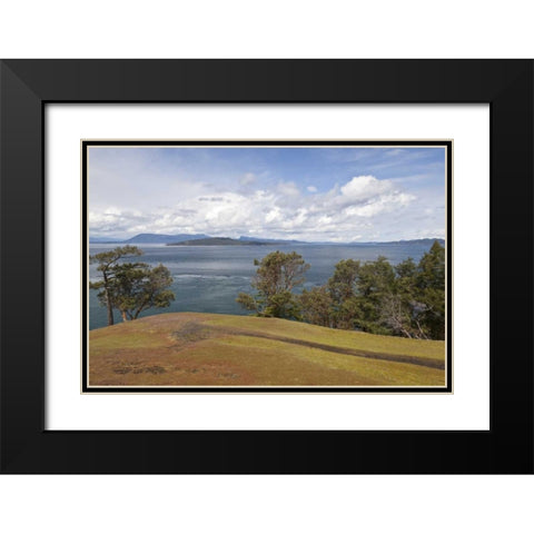 WA, San Juans Scenic overlook on Stuart Island Black Modern Wood Framed Art Print with Double Matting by Paulson, Don