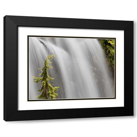 WA, Stehekin Waterfall on the Agnes Gorge Trail Black Modern Wood Framed Art Print with Double Matting by Paulson, Don