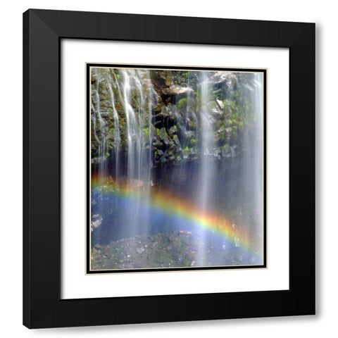 WA, Mount Rainer NP Rainbow at a waterfall Black Modern Wood Framed Art Print with Double Matting by Talbot Frank, Christopher