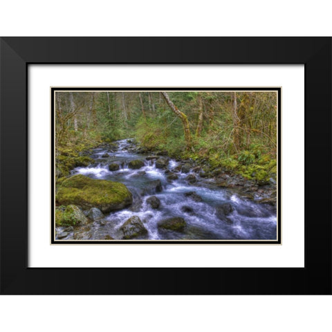 WA, Rocky Brook Falls Stream cascades over rocks Black Modern Wood Framed Art Print with Double Matting by Shimlock, Jones
